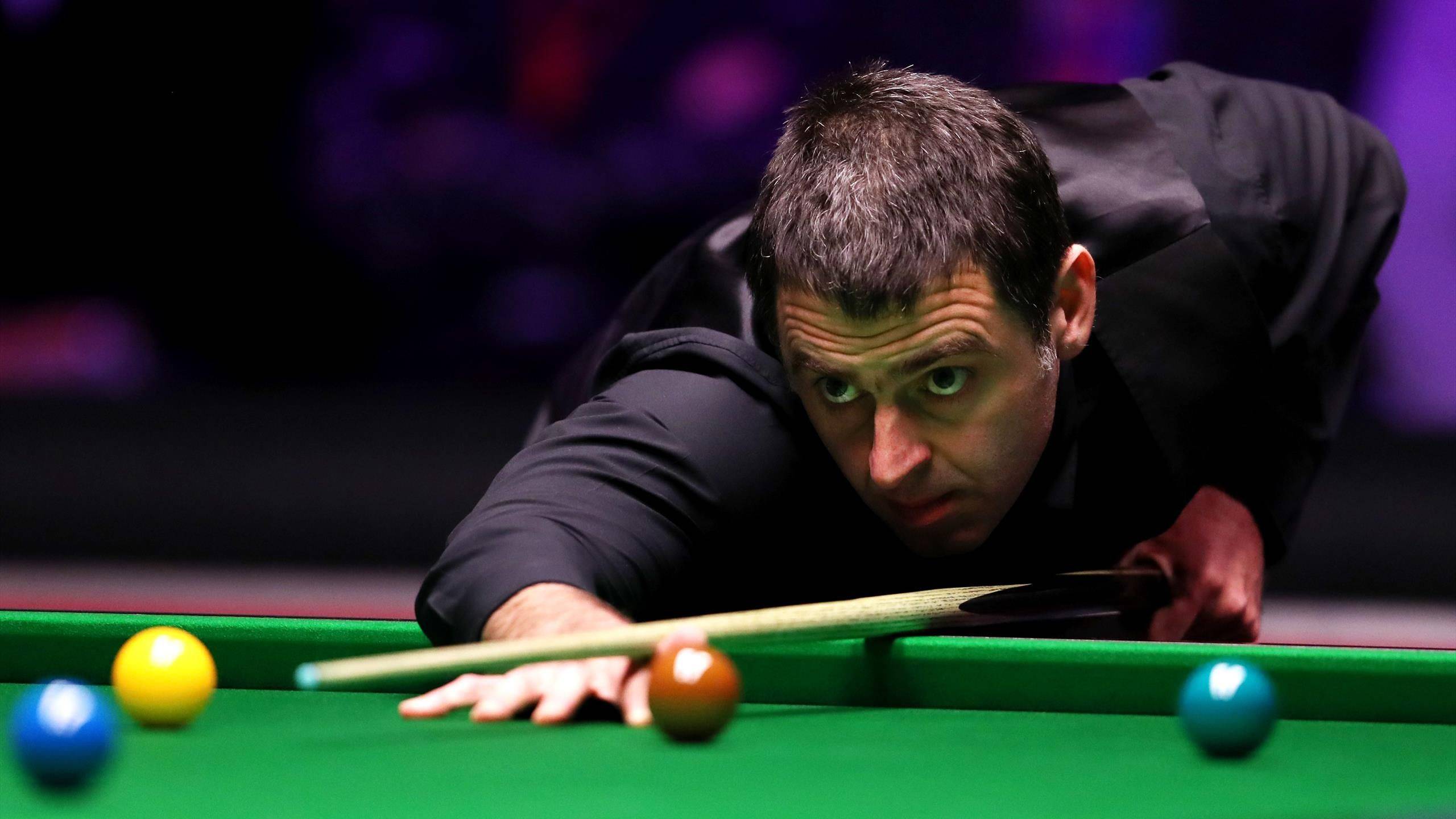 将因体重的 将因体重的